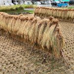 波佐見に住まう　ー錦に染まる里ー