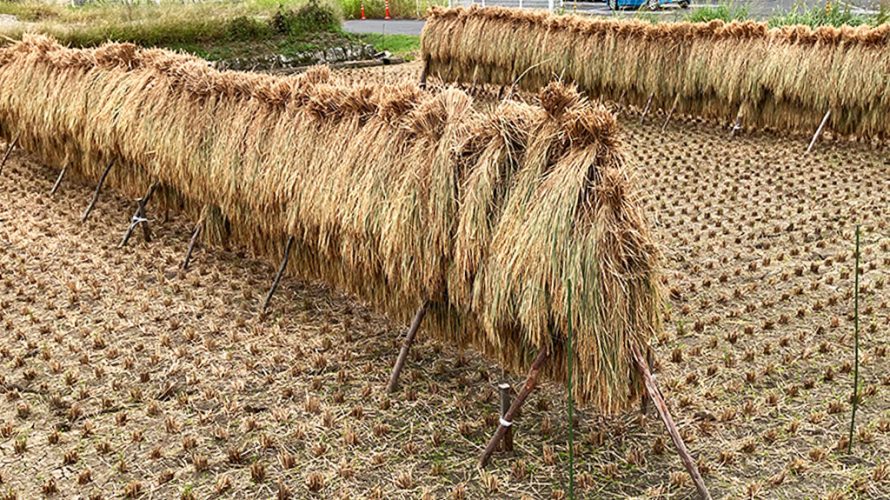 波佐見に住まう　ー錦に染まる里ー