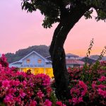 波佐見に住まう　ー2025梅雨入りー
