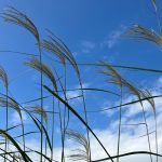 波佐見に住まう　ー2025　中尾山秋陶めぐりー