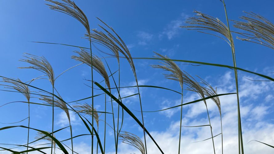 波佐見に住まう ー2025 中尾山秋陶めぐりー