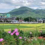 波佐見に住まう　ー波佐見の秋を散歩して一服ー