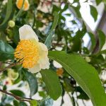 波佐見に住まう　－2025　初冬の波佐見－