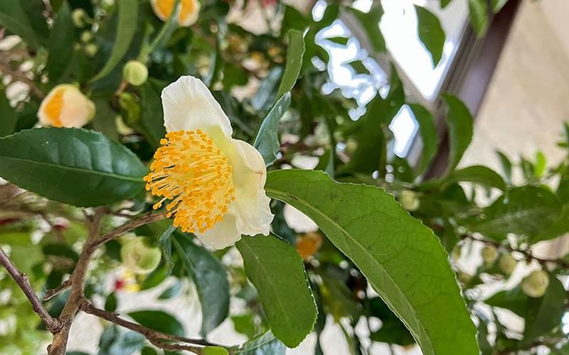 波佐見に住まう　－2025　初冬の波佐見－